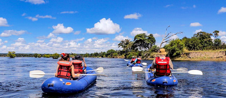 Canoeing Upper Zambezi River gliding past elephant herd babies drinking bank 5 metres undisturbed