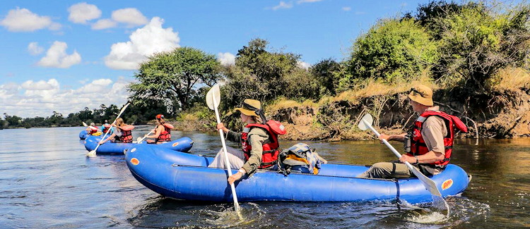 Canoeing Upper Zambezi River hippo jaws open beside Canadian canoe rapid grade guide warning ignored