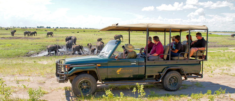 Chobe National Park day trip Botswana 80km Victoria Falls elephant herds Chobe River game drive