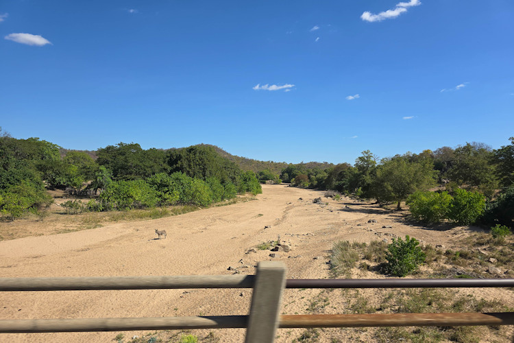 Accessibility Hwange Victoria Falls road transfer Kruger Johannesburg Cape Town self-drive