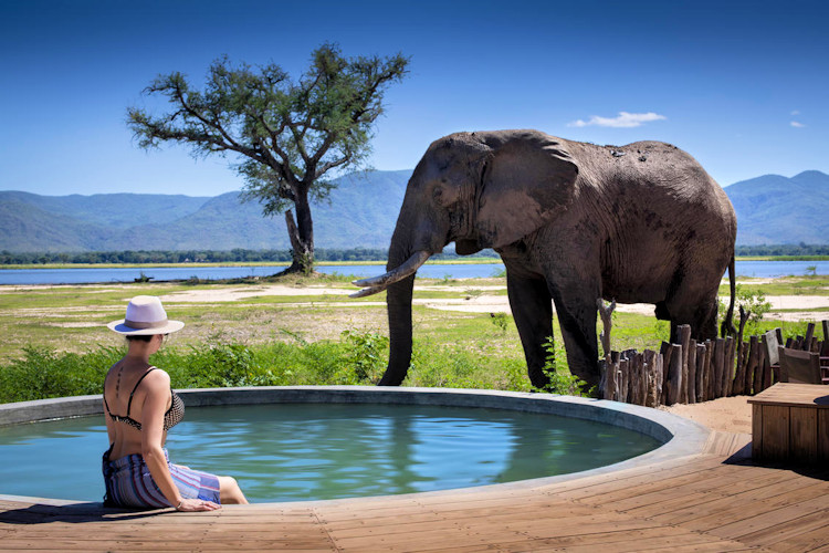 Nyamatusi Camp Mana Pools Zambezi River UNESCO Heritage air conditioning plunge pools solar Zimbabwe