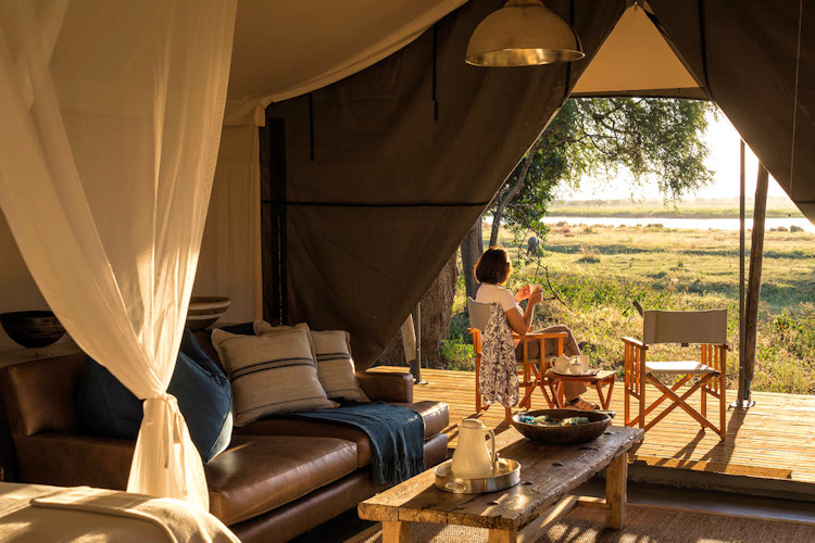 Ruckomechi Camp Zambezi River Mana Pools elephants canoeing walking safari swimming pool Zimbabwe