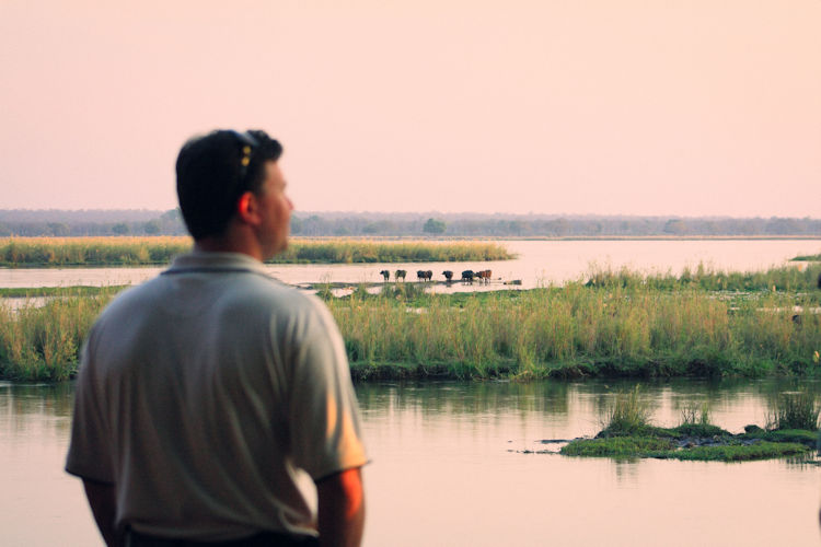 The image captures a breathtaking sunset over Lake Kariba, with the silhouettes of drowned trees emerging from the tranquil waters, creating a serene and picturesque scene perfect for a romantic Zimbabwe honeymoon safari. The vibrant colors of the sky reflect on the lake's surface, enhancing the stunning beauty of this iconic location in Zimbabwe.