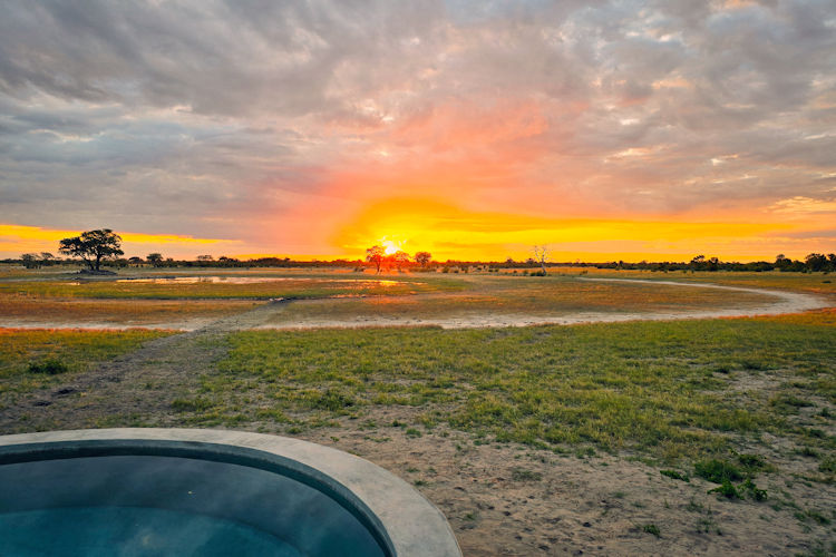 A luxurious tented suite features a private pool with stunning views of the African bush, perfect for a romantic Zimbabwe honeymoon safari. This serene setting offers an unforgettable experience amidst the beautiful landscapes of Hwange National Park and the Zambezi River.