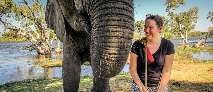 Zambezi sundowner cruise gin tonic Zambezi lager upper Zambezi hippo elephant riverbank sunset