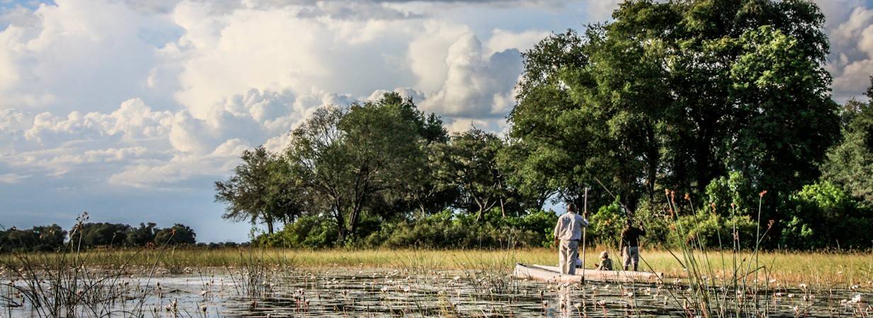 Okavango Delta Pictures