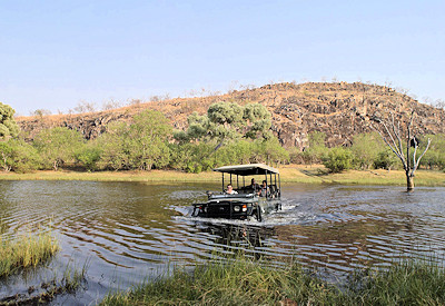 Afternoon game drive in the Savuti Canal