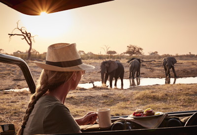 Belmond Savute safari activities
