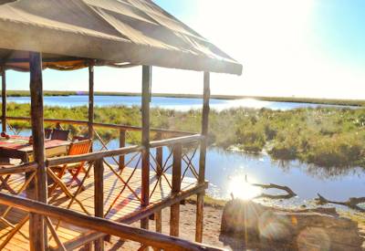 Views out over the Linyanti Marsh