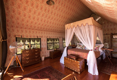 Stunning tented safari suites