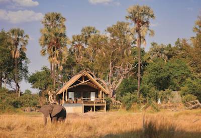Luxury in the Okavango Delta