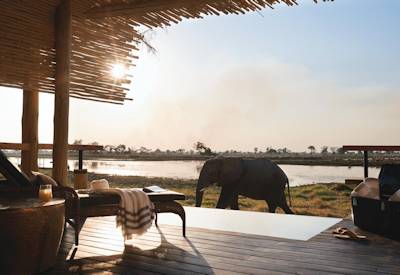Okavango Delta wildlife