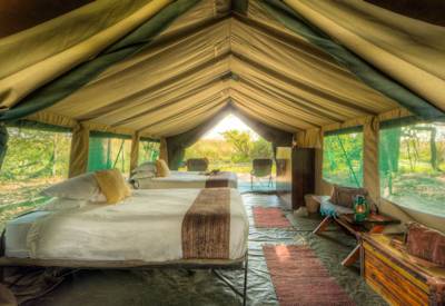Large familiy friendly safari suite