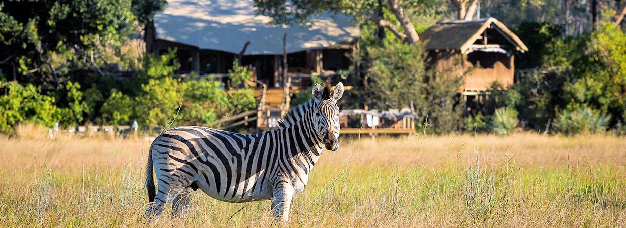 Little Tubu Tree Camp