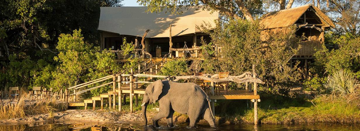 Little Tubu Tree Camp