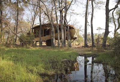 Exquisite raised safari suites