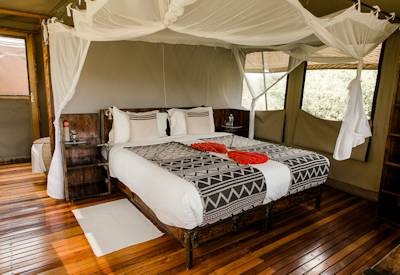 Large classic safari tents