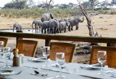 Savute wildlife in front of lodge