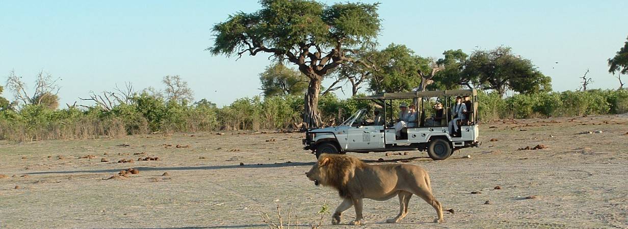 Savute Safari Lodge