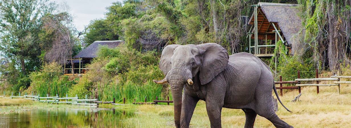 Savute Safari Lodge