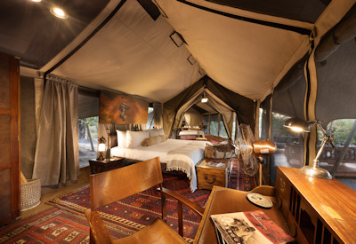 Safari suites that offer all that one could ask for