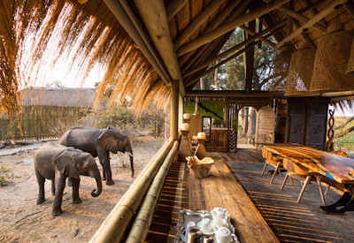 Elephants and very spacious inner floorspace