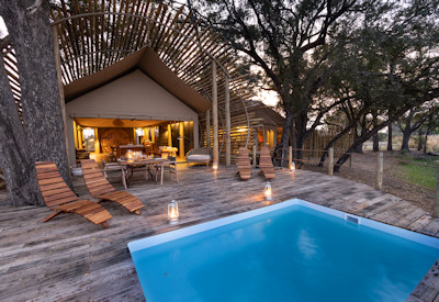 Private swimming pool surrounded by ebony trees