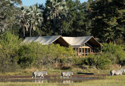 Tree camp offers views and wildlife
