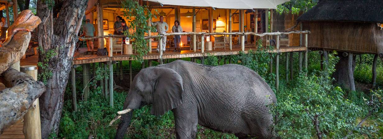 Tubu Tree Camp
