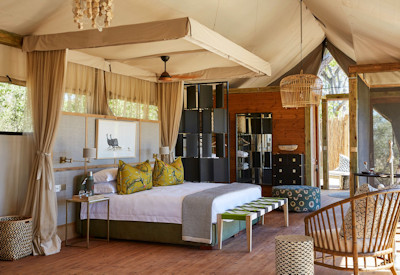 Stunning luxurious safari suites