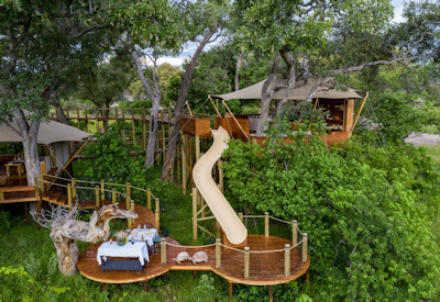 Library treehouse and wooden decks