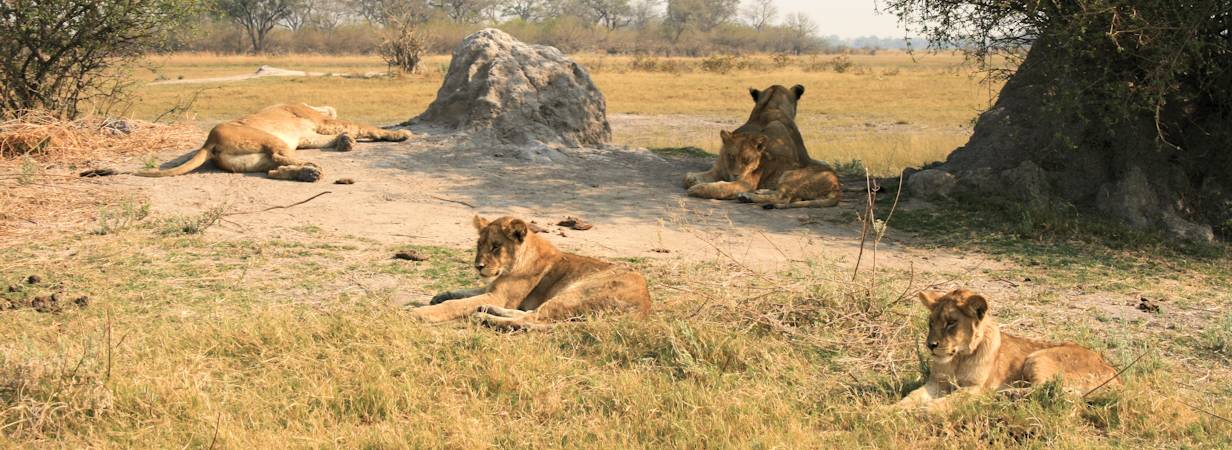 Botswana Adventure Safari