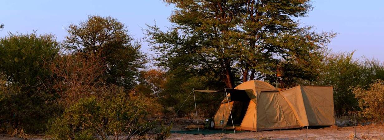 Botswana Delta and Moremi