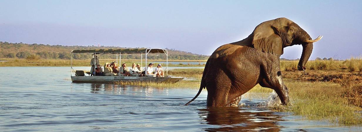 Botswana Untamed Safari