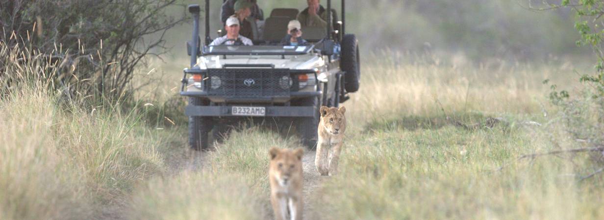 Delta Miracle Safari