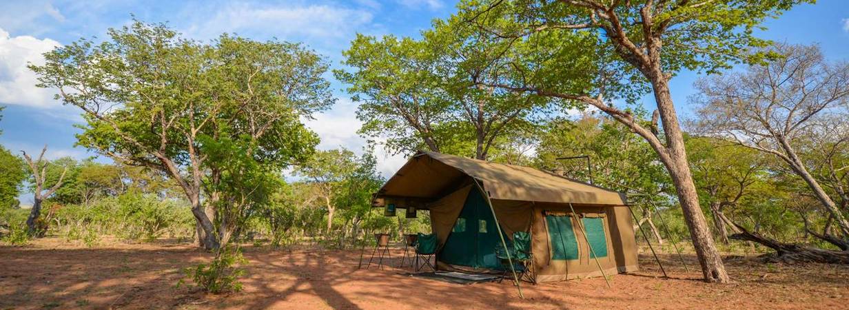 Discover Moremi & Chobe Safari