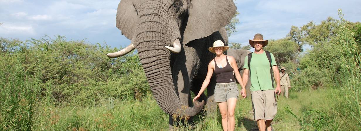 Highlights of Botswana Safari