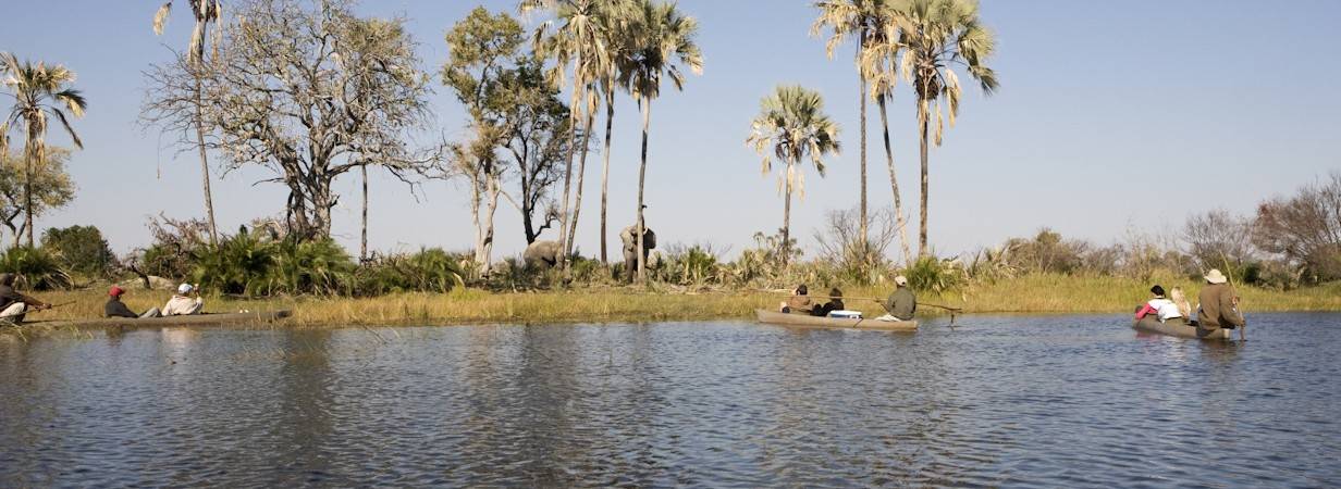 Botswana Migration Routes Safari