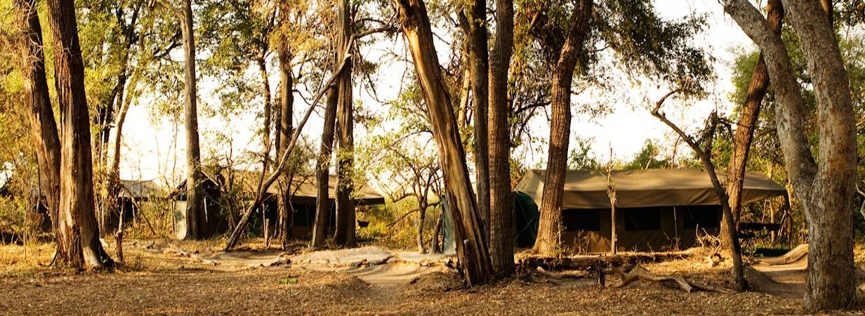 Okavango Family Safari