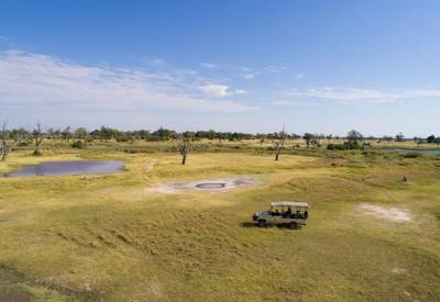 Botswana game drives