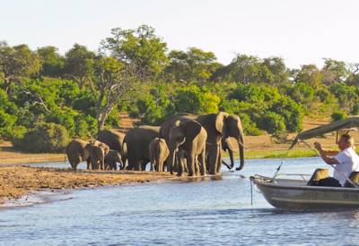 Chobe National Park elephant hippo crocodile boat cruise Botswana Baobabs Safari