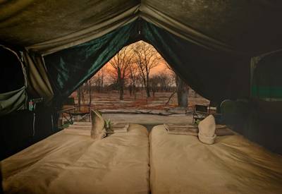 Savuti sunset lion leopard hyena Chobe National Park Botswana Baobabs Safari budget