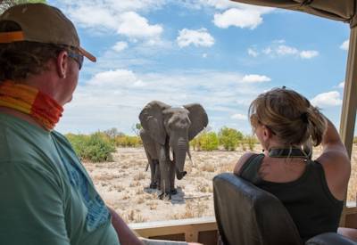 Wildlife photography game drive Moremi Khwai Savuti Chobe Botswana Baobabs Safari