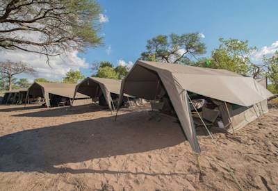 Savuti tented camp Meru tents dinner African bush sounds Chobe National Park Botswana