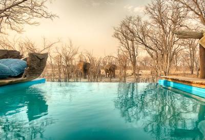 Lodge swimming pool Chobe River banks Kasane Botswana Baobabs Safari budget 3-4 star