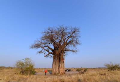 Central Kalahari Game Reserve Deception Valley private guide-only campsite Botswana safari