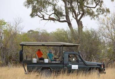 Game drive lion leopard wild dog elephant Moremi Savute Chobe Botswana Bucket List safari