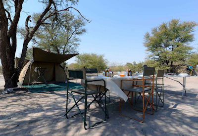 Private mobile camp dining setup tented suite acacia trees Botswana Bucket List safari