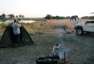 Buffalo herd Moremi Game Reserve Xakanaxa Botswana Buffalo Safari wildlife camping