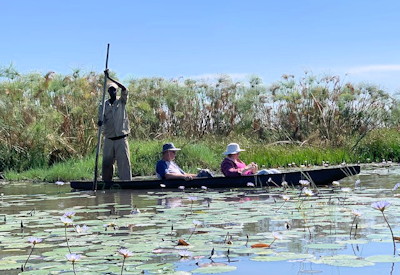 Mokoro canoe back channels Nxamasire Okavango Delta Botswana Delta Wildlife Adventure